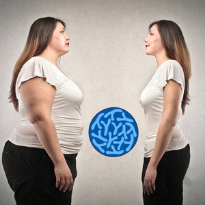 Premix Probiotics ผงของสูตรควบคุมน้ำหนักของแข็งสำหรับมนุษย์