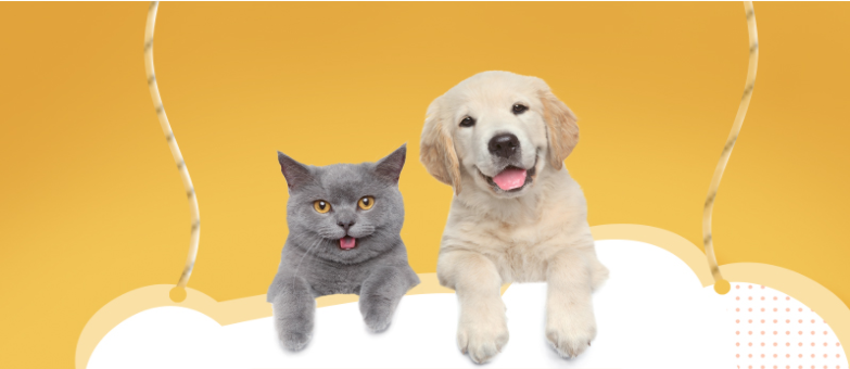 微信图片 _20210326154812