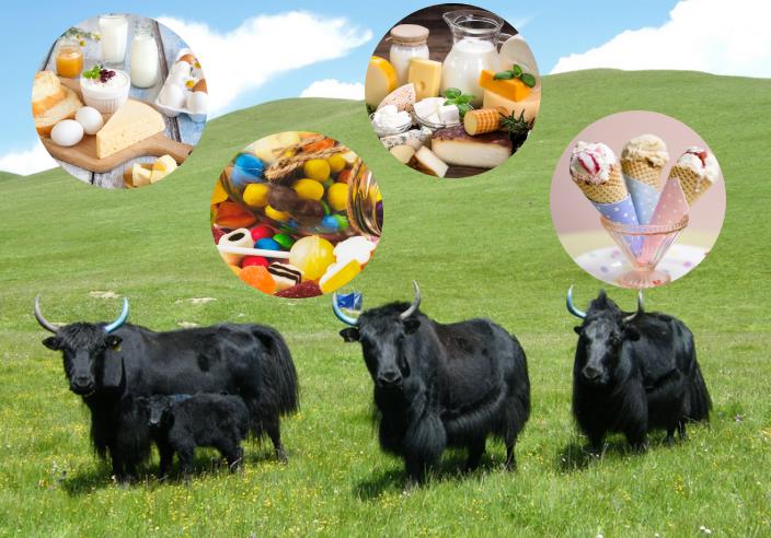 微信截图 _20210304135159