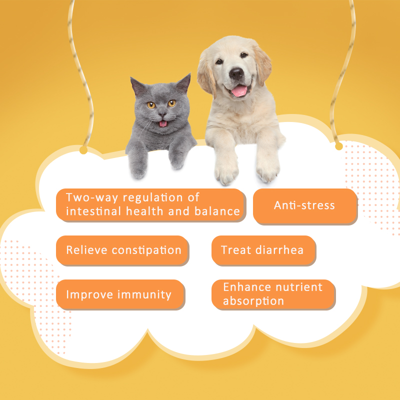 สารเติมแต่งอาหารสัตว์ Multistratic Probiotics ผงโปรไบโอติก Colostrum สำหรับสัตว์เลี้ยง