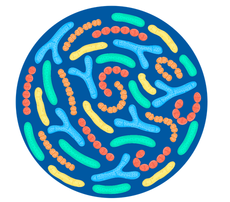 ที่กำหนดเอง premix probiotics ผงสำหรับผู้หญิงการดูแลสุขภาพช่องคลอด