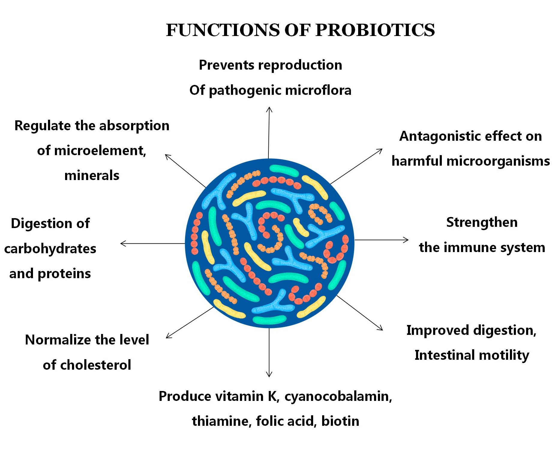 โปรไบโอติกอาหารเกรดผงโปรไบโอติกเป็นกลุ่มอาหาร lactobacillus โปรไบโอติกผง bifidobacterium lactis