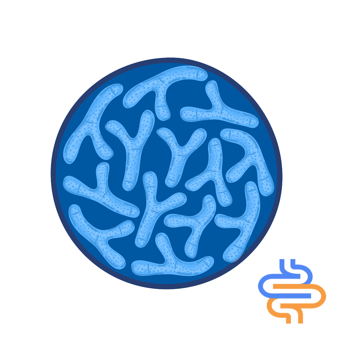 อาหารเกรดเดียว Probiorics Bifidobacterium Breve Powder